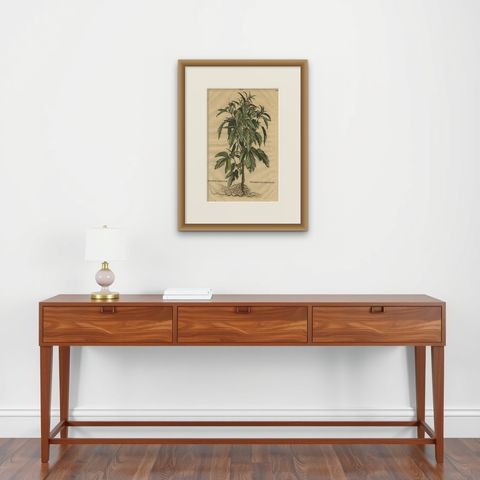 Botanical Illustration of Sesame Plant (Sesamum indicum) - Munting’s 1696 Herbal, shown framed on a wall