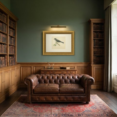 Blackcap with Hanging Leaves, Hand Colored Wood Engraving, Morris, 1896, shown framed in a room