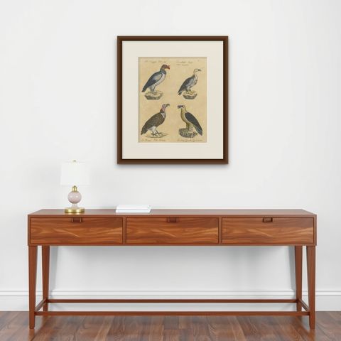 King Vulture, Griffon Vulture & Bearded Vulture Lithograph, 1816, shown framed on a wall