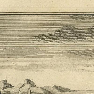 Antique Print of Fish Species 'no. 449' by Valentijn '1726', close-up 1