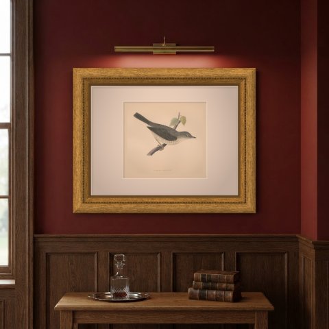Barred Warbler on a Leafy Twig, Antique Hand Colored Bird Plate, Morris, 1896, shown framed on a wall