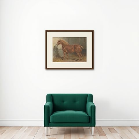 Antique Print of the Suffolk Horse by O. Eerelman, 1898, shown framed on a wall
