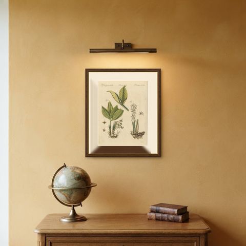 Zedoary and Grains of Paradise Spice Plants, Antique Bertuch Print, circa 1805, shown framed on a wall