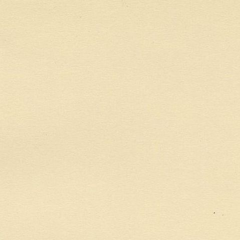 Antique Bird Print of a Young Great Crested Grebe by Von Wright, 1929, close-up 1