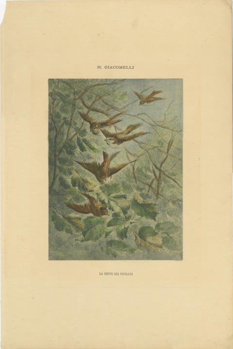 Autumn Flight - Giacomelli’s Sparrows in Falling Leaves, Circa 1891, view 2