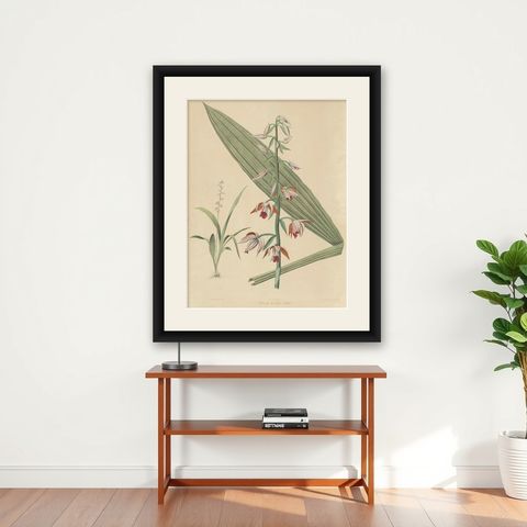 Large Masterpiece of Botanical Illustration from the Dutch East Indies, 1854, shown framed on a wall