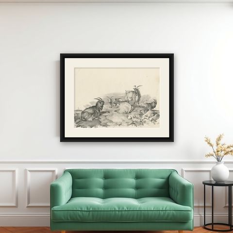 No.4 Antique Print of Goats by Cooper, '1839', shown framed on a wall