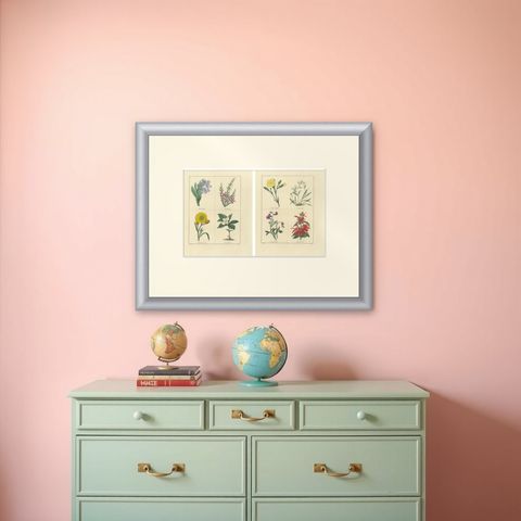 Charming Pair of Antique Floral Engravings for Wall Décor, 1828, shown framed on a wall