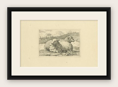 Serene Pastoral Scene with Two Resting Sheep: Etching by Anthony Oberman, 1810, shown framed