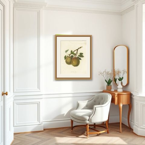 Antique Fruit Print of the Elton Pear, shown framed in a room