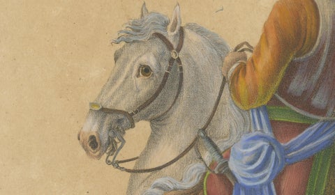 Antique Andalusian Horse Lithograph by Brodtmann, Equus Hispanicus, 1816, close-up 5