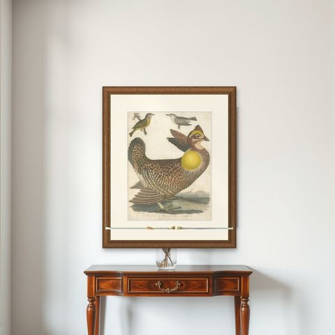 Antique Bird Print of the Pinnated Grouse and Warblers by Wilson 'c.1820', shown framed on a wall