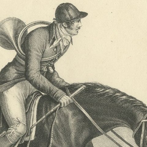 Antique Print of an English Hunting Horse, close-up 1