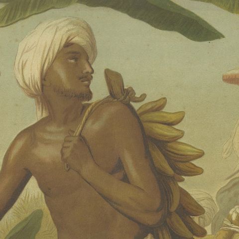 Large Antique Chromolithograph, India Tiger Hunt Scene, Leutemann, ca. 1890, close-up 6