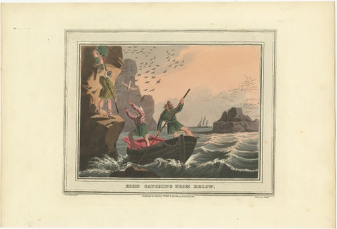 Foreign Field Sports: Bird Catching Aquatint by Dubourg & Howitt, 1813, view 2