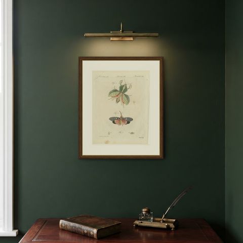 Walking Leaf and Chinese Lantern Fly, Antique Bertuch Print, Vienna, circa 1805, shown framed on a wall