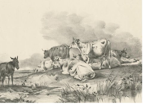 No. 29 Antique Print of Cattle and a Donkey by Cooper, 1839, view 4