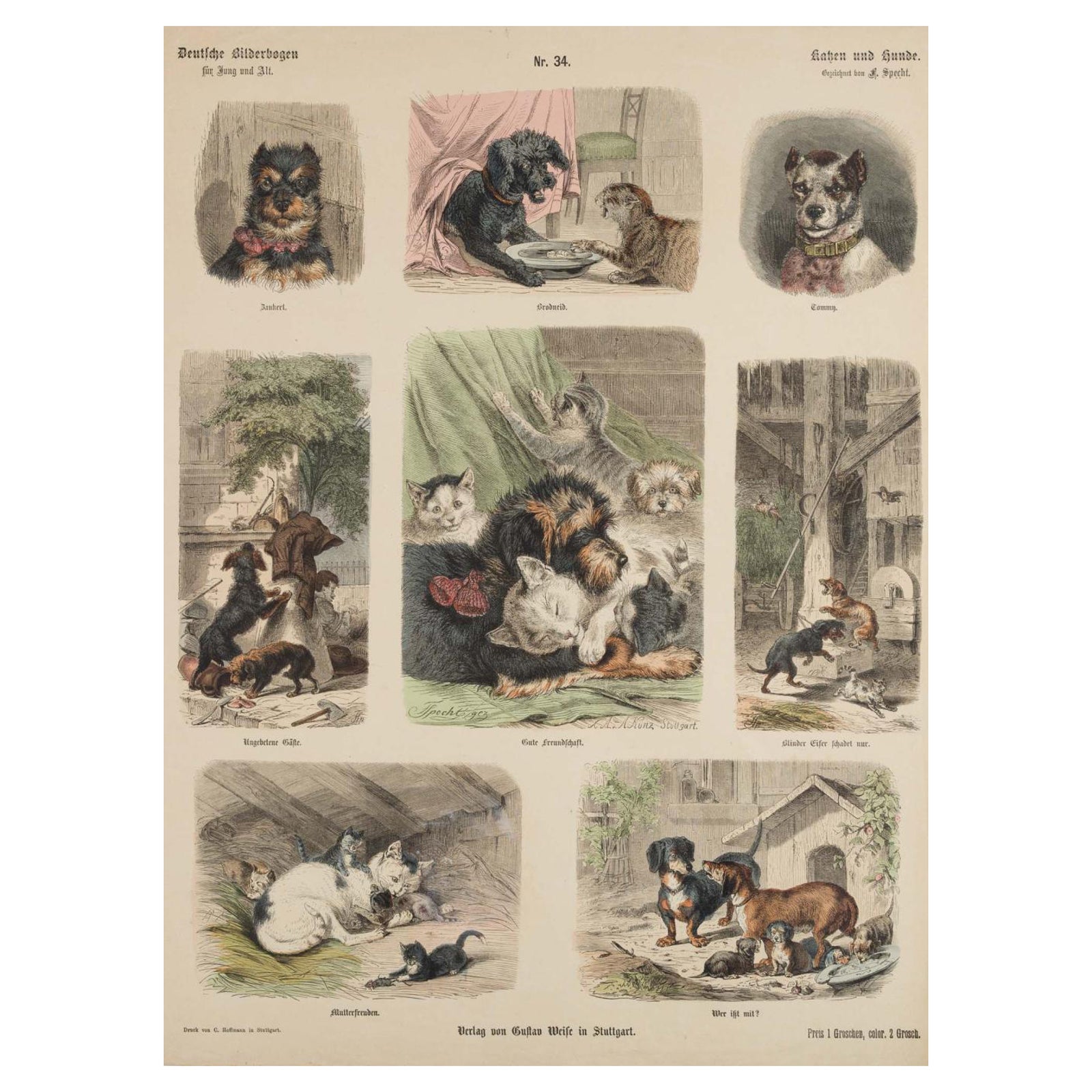 Antique Print of Cats and Dogs, Hand-Colored German Wood Engraving, c.1909