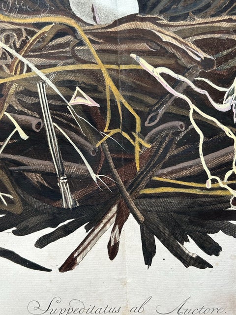 Western Marsh Harrier Nest, Antique Double-Page Engraving, Nozeman & Sepp 1770, view 10