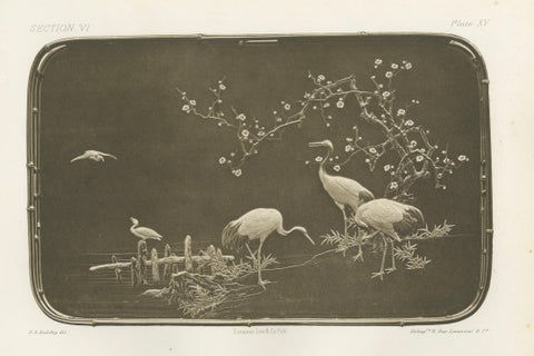 Cranes and Blossoms in a Japanese Ornamental Scene, Heliograph by Audsley 1884, close-up 4