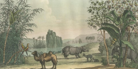 Chinese Landscape with Camel, Rhinoceros and Elephant, Antique Print, 1815, close-up 2