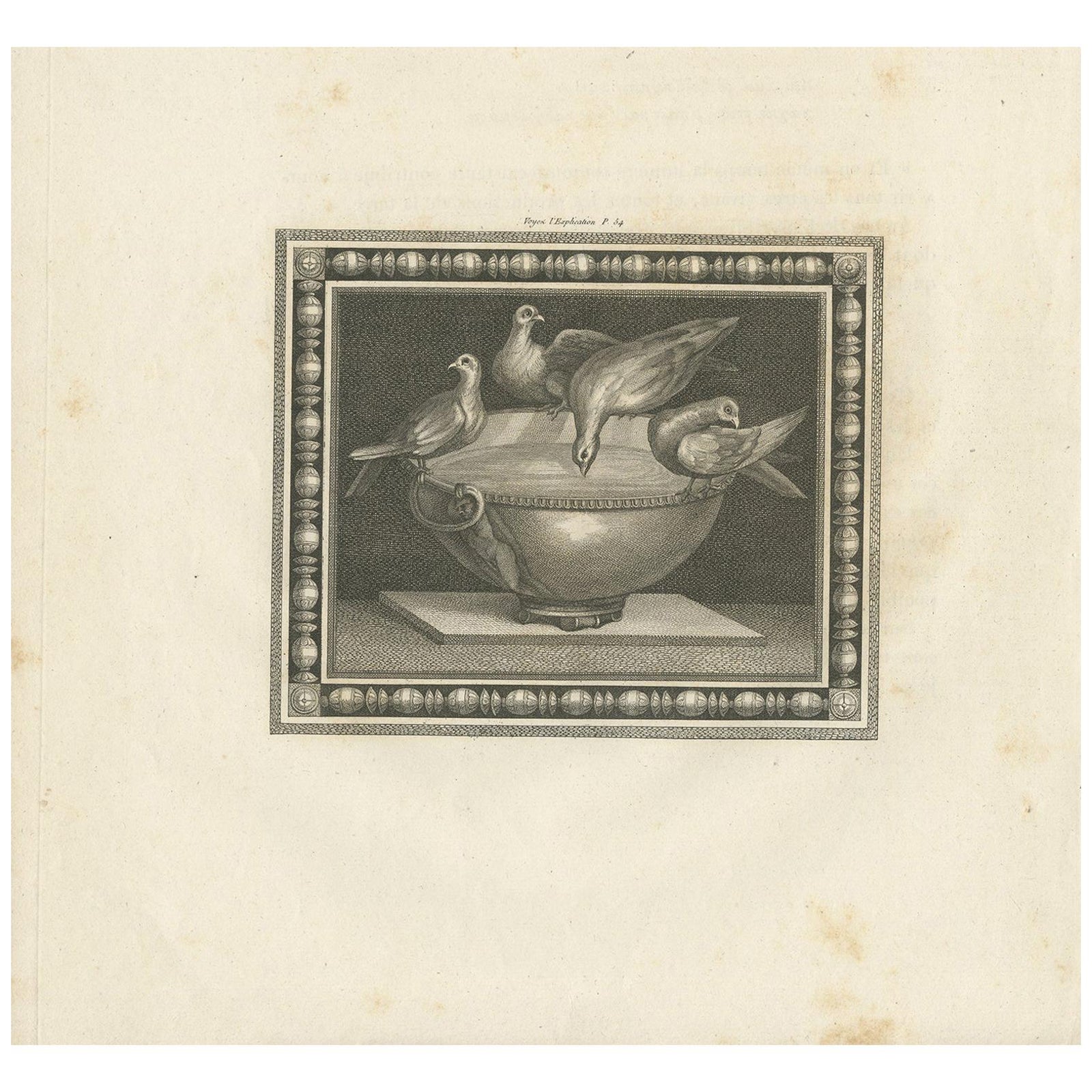 Antique Print of Birds and a Birdbath, circa 1820