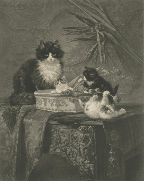 "Motherly Watch" - Cats and Kittens by Henriette Ronner (1894), close-up 4