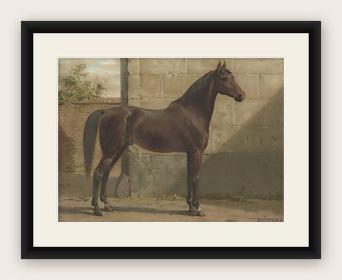 Antique Print of the East Prussian Horse by O. Eerelman, 1898, shown framed