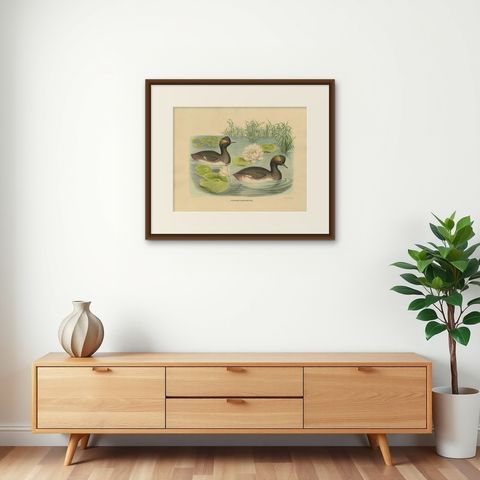Antique Bird Print of Two Black-Necked Grebes Made after D.G. Elliot, 1869, shown framed on a wall
