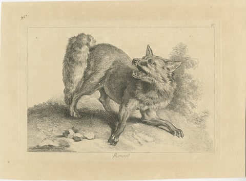Renard, The Red Fox: An Original Detailed Etching - circa 1740, view 2