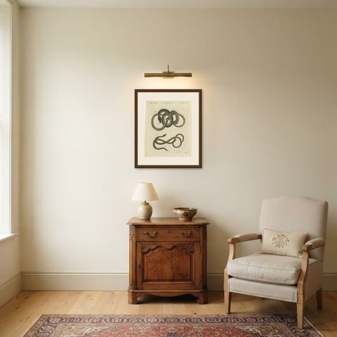 Four Snakes in Colourful Coils, Antique Bertuch Print, Vienna, circa 1805, shown framed in a room