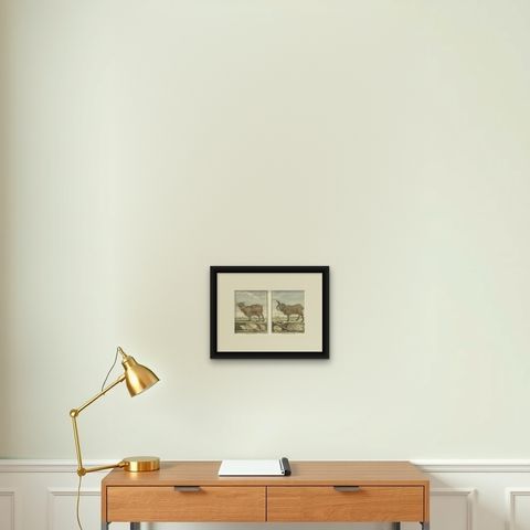 Rare 1769 Iceland Sheep Pair, Hand-Coloured Buffon Engravings Amsterdam, shown framed on a wall
