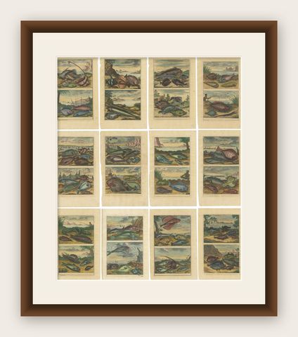 Set of 12 Colored Antique Prints of various Fish species and other Marine Life, shown framed