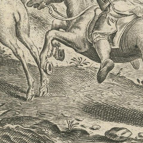 1617 Horse and Deer Engraving by Vondel, Warande der Dieren, close-up 6