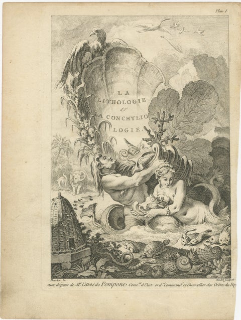 Allegorical Print of Lithology and Conchology by Boucher Fils, 18th Century, view 2