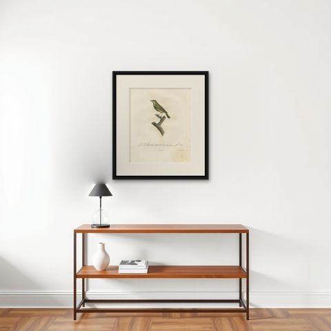 Large Antique Vireo Bird Illustration - 1807 Vieillot Handcolored Print, shown framed on a wall