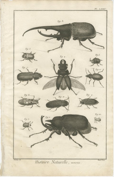Pair of Antique Engravings of Beetles & Insects from Diderot’s Encyclopédie 1770, view 2