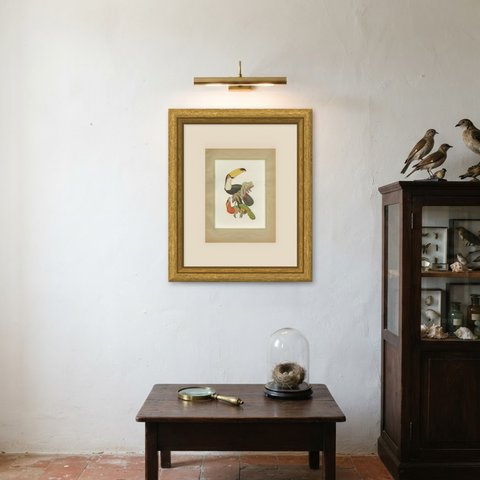 Toucans and Aracaris, Brazilian Bird Print, Descourtilz, 1944, shown framed on a wall