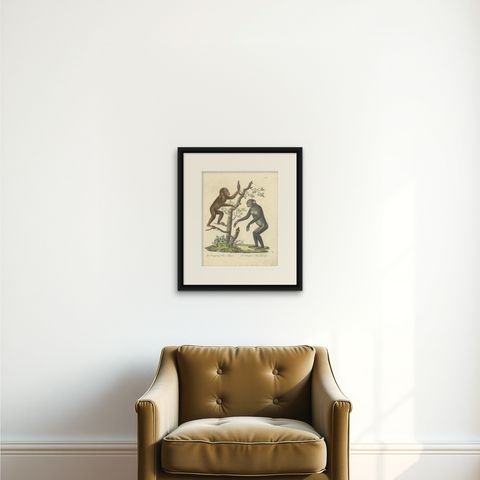 Antique Orangutan & Chimpanzee Lithograph by Karl Joseph Brodtmann, 1816, shown framed on a wall