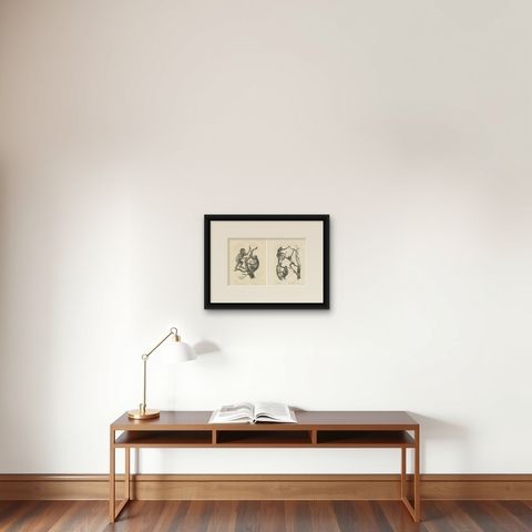Orangutan, Chimpanzee, Siamang & Gibbons, Lithographs by C.Last, 1836, Primates, shown framed on a wall