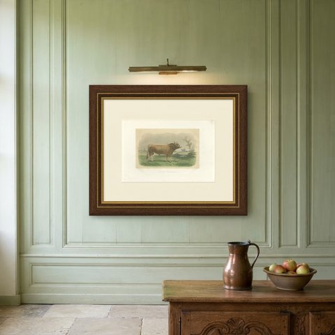 Parthenais Bull, Antique Cattle Print after Van Marcke, 1873, shown framed on a wall
