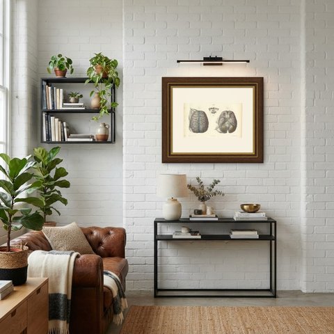 Veins of the Cerebral Hemispheres, Antique Hirschfeld Anatomy Print, 1866, shown framed in a room