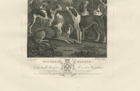 Hounds & Magpye Antique Engraving, English Sporting Art, 1775, close-up 4