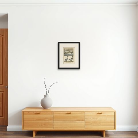 Antique Bird Print of Geese by Bonnaterre, 1790, shown framed on a wall