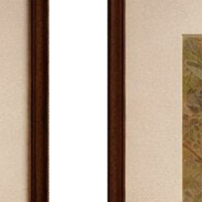 Set of 2 Antique Exotic Bird Prints, Parrots & Macaws, Vibrant Lithographs, 1895, close-up 1