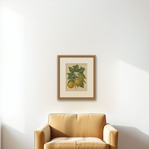 Antique Decorative Print of Japanese Pears, 1879, shown framed on a wall