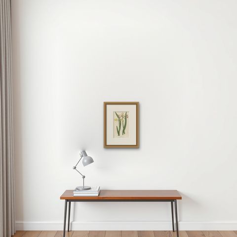 Antique Flower Lithograph of Purple and Yellow Wilcannia Lilies, 1856, shown framed on a wall