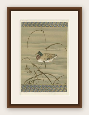 Antique Japanese Waterfowl Print: Tranquil Duck in Reeds, 19th Century, shown framed