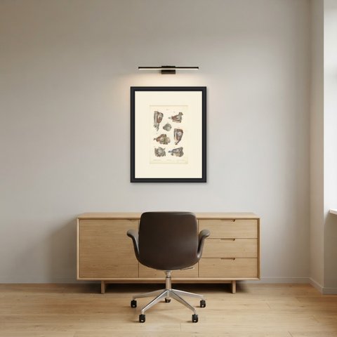 The Muscles of the Eyeball, Antique Hirschfeld Anatomy Print, 1866, shown framed in a room