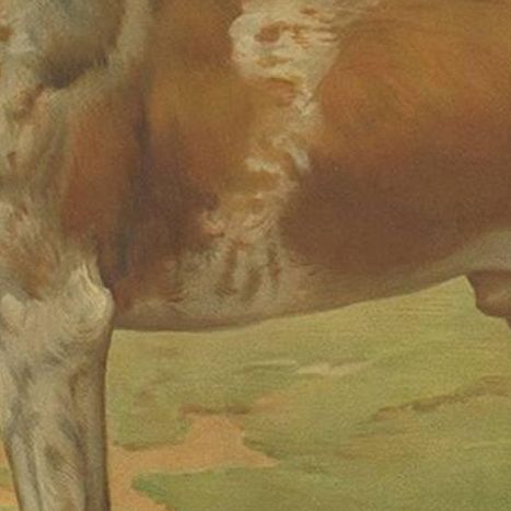 Antique Print of a Hound Dog by Th. Breidwiser, 1879, close-up 2